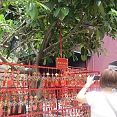 IMG_0717.JPG IMG_0717.JPG