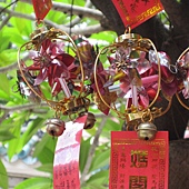 IMG_0729.JPG IMG_0729.JPG