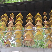 IMG_0734.JPG IMG_0734.JPG