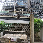 IMG_0855.JPG IMG_0855.JPG