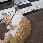 IMG_0887.JPG IMG_0887.JPG