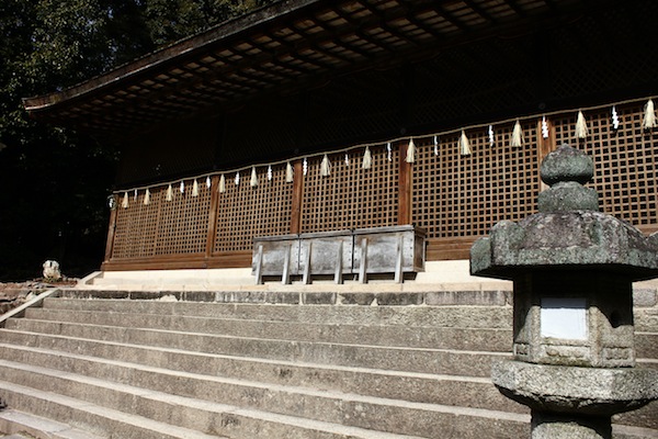 IMG_6883.JPG IMG_6883.JPG