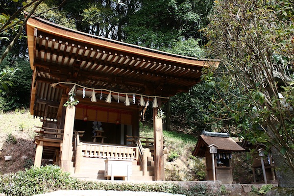 IMG_6880.JPG IMG_6880.JPG