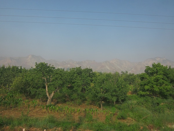 IMG_8811.JPG IMG_8811.JPG