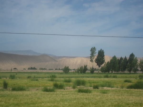 IMG_8867.JPG IMG_8867.JPG