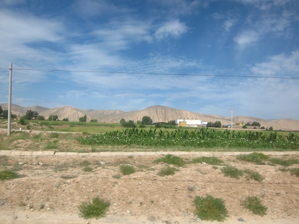 IMG_8862.JPG IMG_8862.JPG