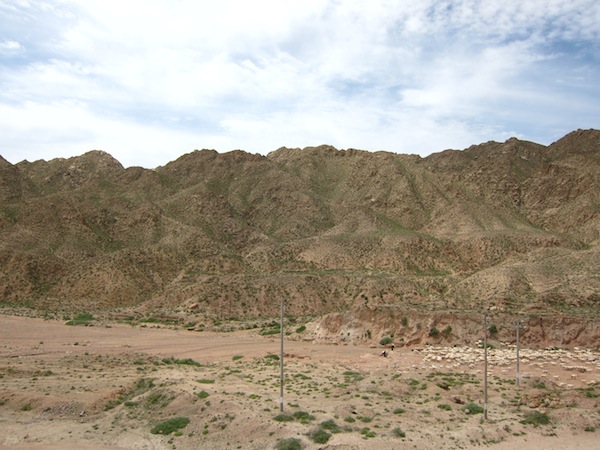 IMG_8897.JPG IMG_8897.JPG