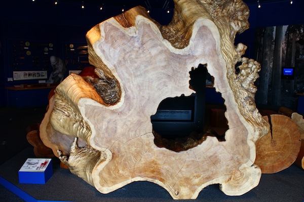 IMG_3328.JPG IMG_3328.JPG