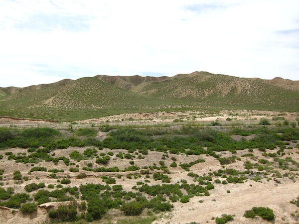 IMG_8914.JPG IMG_8914.JPG