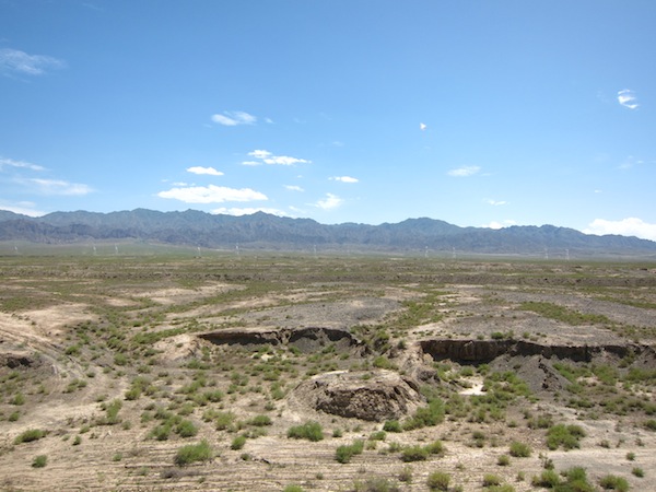 IMG_8918.JPG IMG_8918.JPG