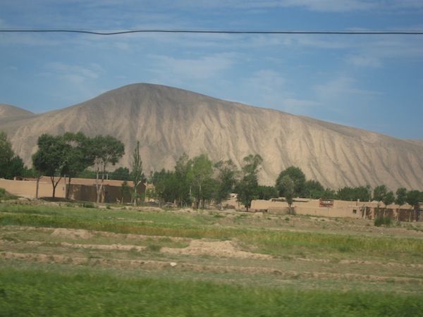 IMG_8865.JPG IMG_8865.JPG