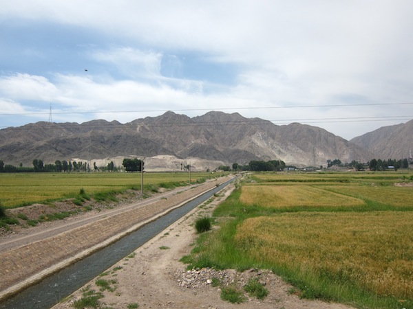 IMG_8889.JPG IMG_8889.JPG