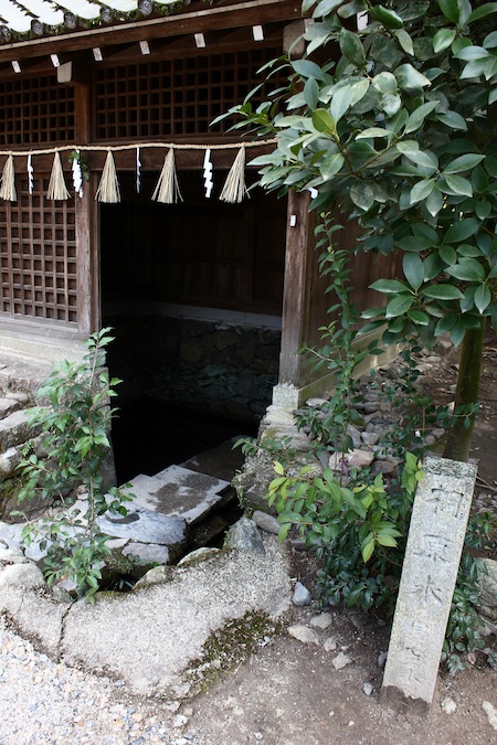 IMG_6876.JPG IMG_6876.JPG