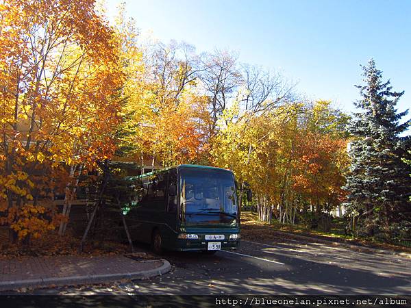 IMG_8948.JPG IMG_8948.JPG