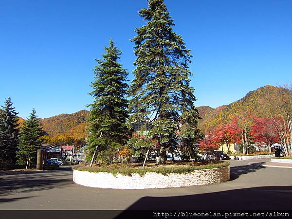 IMG_8946.JPG IMG_8946.JPG