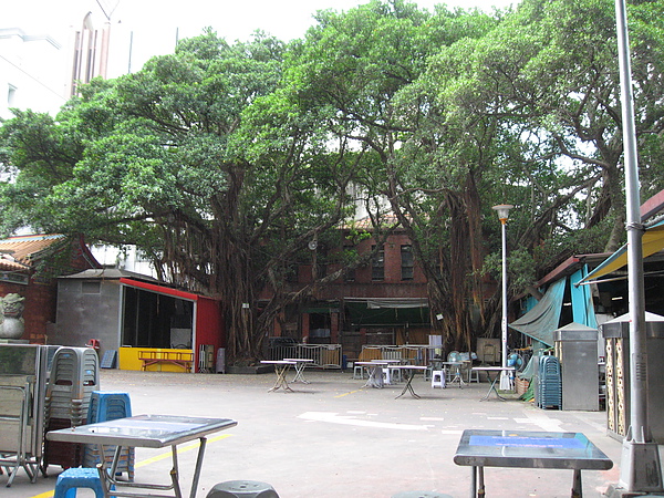 IMG_8768.JPG IMG_8768.JPG