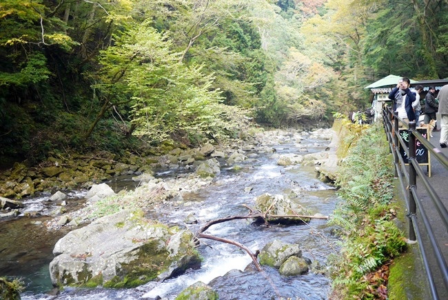P1320100 P1320100