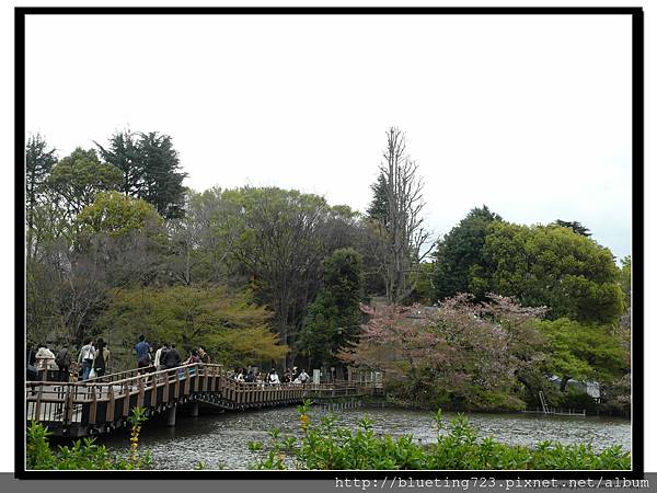 東京《吉祥寺 井之頭恩賜公園》6.jpg