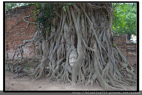 泰國大城府《Ayutthaya大城》瑪哈泰寺WAT MAHATHAT 6.jpg