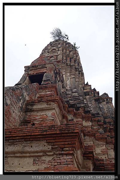 泰國大城府《Ayutthaya大城》柴瓦塔那蘭寺WAT CHAI WATTHANARAM 12.jpg