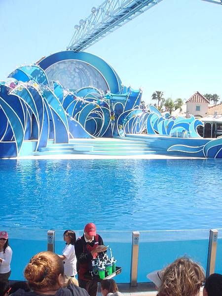 DSC07767 DSC07767