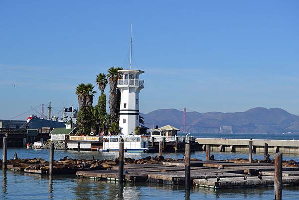 DSC_0386 DSC_0386