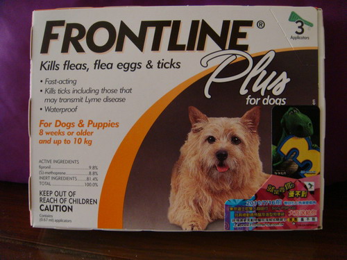 DSC00100_resize.JPG DSC00100_resize.JPG