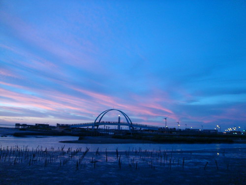 DSC01660_resize.JPG DSC01660_resize.JPG