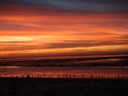 DSC01693_resize.JPG DSC01693_resize.JPG