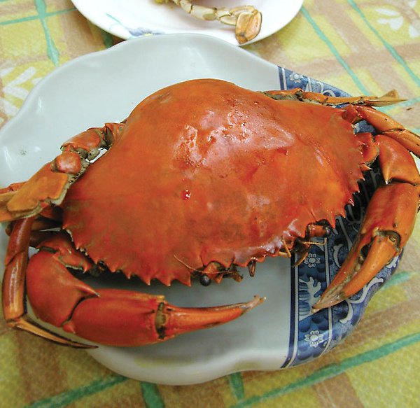 紅蟳.jpg 紅蟳.jpg