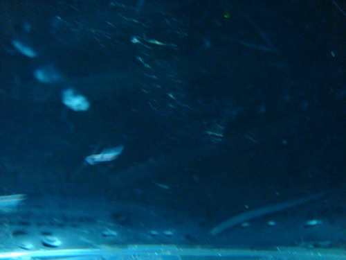 DSC06989_resize.JPG DSC06989_resize.JPG