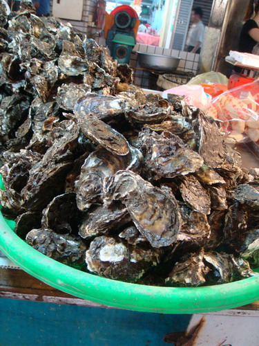 DSC03225_resize.JPG DSC03225_resize.JPG