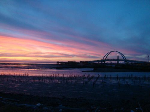 DSC01686_resize.JPG DSC01686_resize.JPG