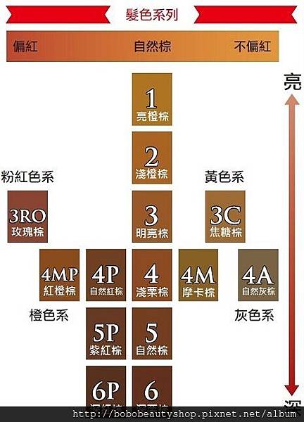 CIELO染髮劑(色卡) CIELO染髮劑(色卡)