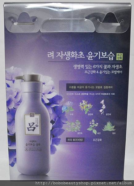 呂洗髮精(淡紫色背面) 呂洗髮精(淡紫色背面)