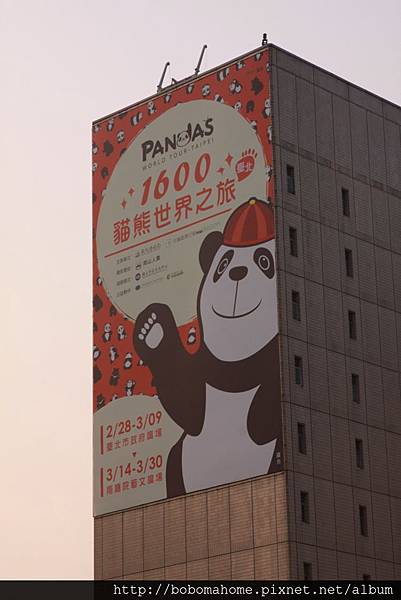 IMG_2539.JPG IMG_2539.JPG