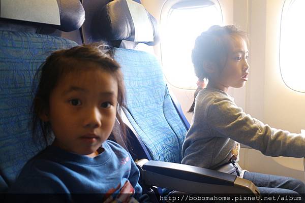 IMG_3481.JPG IMG_3481.JPG