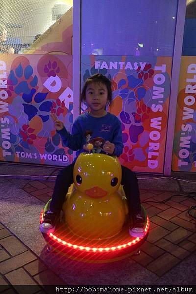 IMG_3533.JPG IMG_3533.JPG