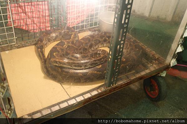 IMG_3558.JPG IMG_3558.JPG