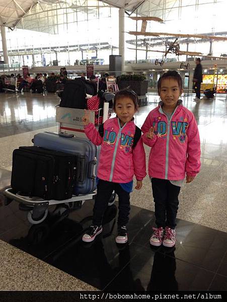 IMG_6701.JPG IMG_6701.JPG