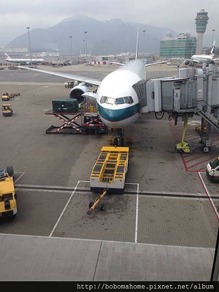 IMG_6726.JPG IMG_6726.JPG