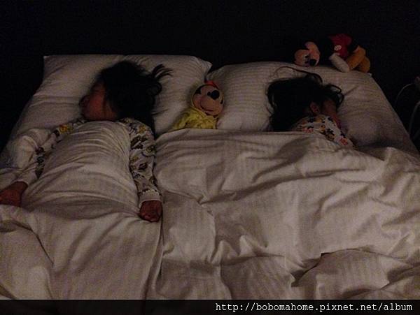 IMG_6760.JPG IMG_6760.JPG