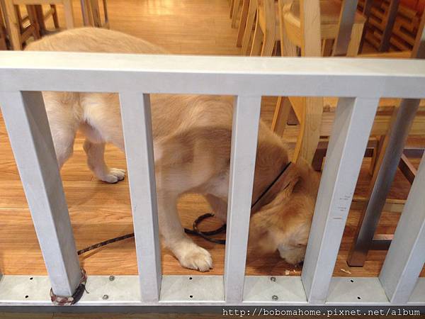 IMG_8793.JPG IMG_8793.JPG