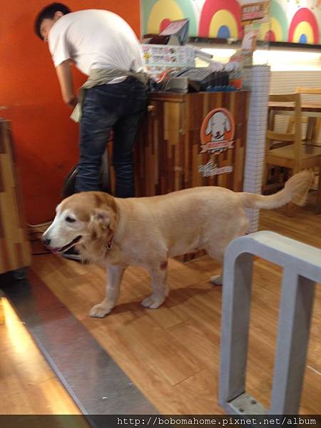 IMG_8794.JPG IMG_8794.JPG