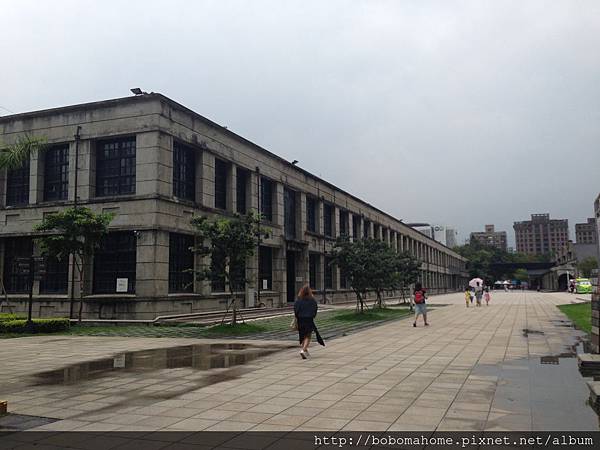 IMG_8799.JPG IMG_8799.JPG