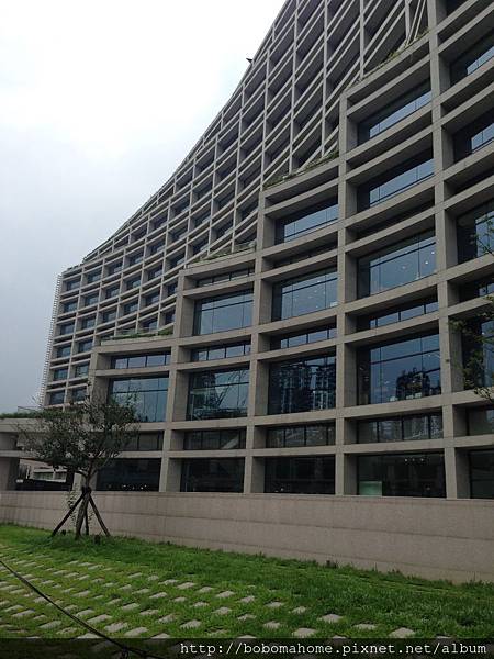 IMG_8800.JPG IMG_8800.JPG