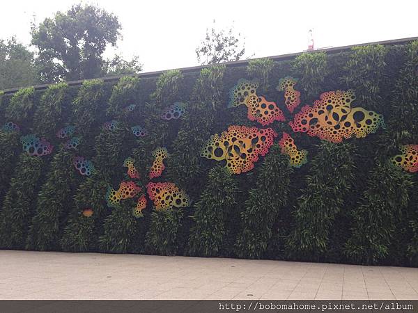 IMG_8820.JPG IMG_8820.JPG