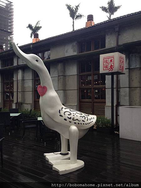 IMG_8852.JPG IMG_8852.JPG