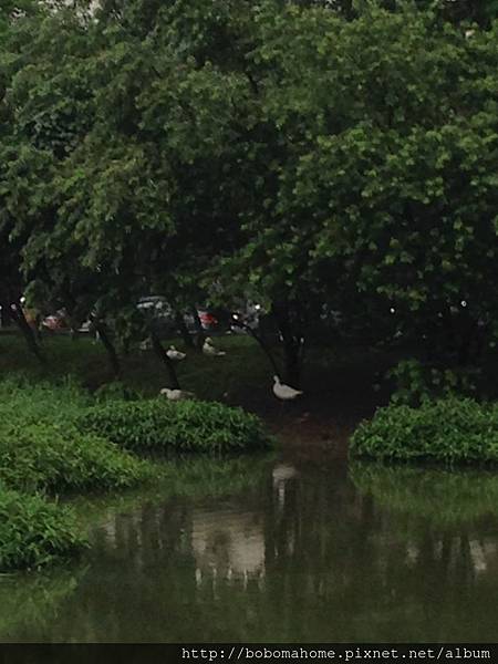 IMG_8855.JPG IMG_8855.JPG