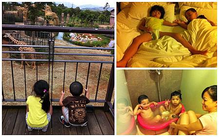 感情那麼好 感情那麼好